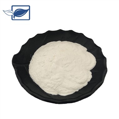 Vinagre de maçã orgânico em pó