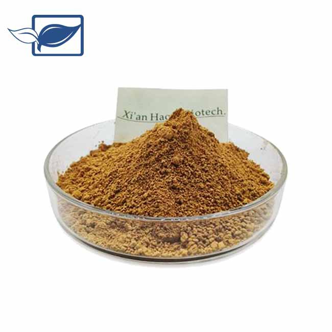 Pó de raiz de maca preta orgânica