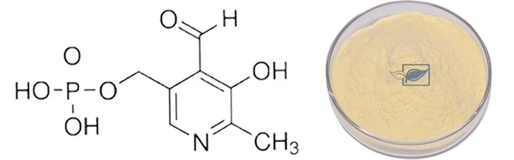 Pyridoxal Phosphate 4