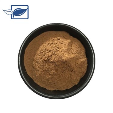 Pó de extrato de Cistanche Deserticola